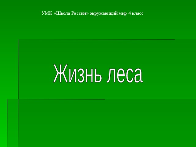 Жизнь леса проект 4 класс