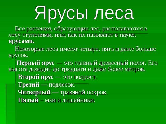 Растения образуют. В лесу растения образуют ярусы. В лесу растения образуют ярусы ответ. 5 Ярусов леса. 4 Ярус леса растения.