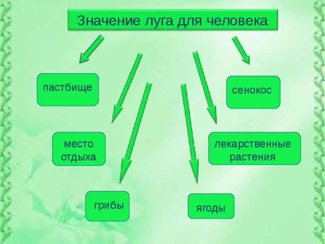 Презентация жизнь луга для 4 класса