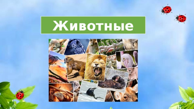 Презентация к уроку окружающего мира (2 класс) по теме \