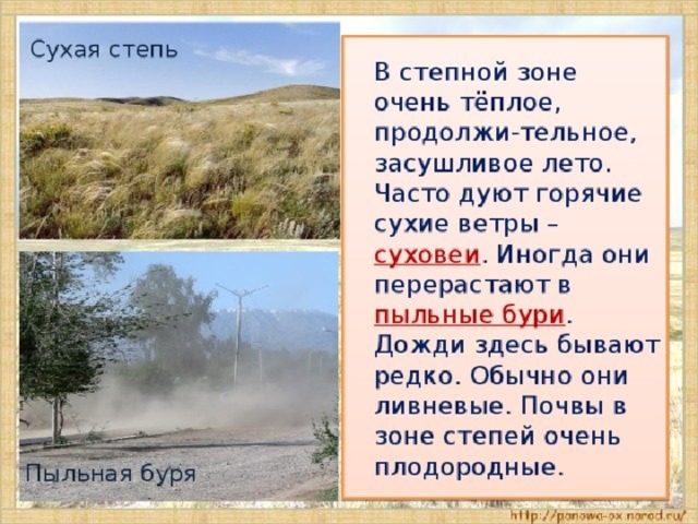 О какой природной зоне идет речь. Горячий сухой ветер в степи. В степи часто дуют горячие сухие ветры — суховеи. Степь дующие ветры. Название природной зоны степи.