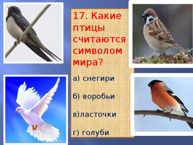 17. Какие птицы считаются символом мира? а) снегири б) воробьи в)ласточки г) голуби