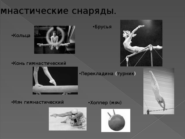 Гимнастические снаряды. Брусья Кольца Конь  гимнастический Мяч гимнастический Перекладина ( турник ) Хоппер (мяч) 
