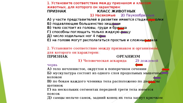 Выбери 3 утверждения которые характеризуют. Установите соответствие между признаками и классами животных. У части представителей в развитии имеется стадия куколки. По бокам каждого членика тела расположено по две пары щетинок. На нескольких сегментах передней трети тела имеется поясок.