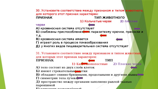 Установите соответствие тип клетки