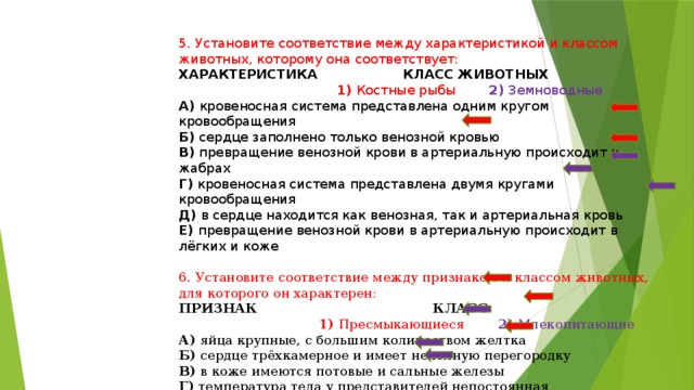 5. Установите соответствие между характеристикой и классом животных, которому она соответствует: ХАРАКТЕРИСТИКА КЛАСС ЖИВОТНЫХ  1) Костные рыбы 2) Земноводные А) кровеносная система представлена одним кругом кровообращения Б) сердце заполнено только венозной кровью В) превращение венозной крови в артериальную происходит в жабрах Г) кровеносная система представлена двумя кругами кровообращения Д) в сердце находится как венозная, так и артериальная кровь Е) превращение венозной крови в артериальную происходит в лёгких и коже 6. Установите соответствие между признаком и классом животных, для которого он характерен: ПРИЗНАК КЛАСС  1) Пресмыкающиеся 2) Млекопитающие А) яйца крупные, с большим количеством желтка Б) сердце трёхкамерное и имеет неполную перегородку В) в коже имеются потовые и сальные железы Г) температура тела у представителей непостоянная Д) хорошо развита забота о потомстве Е) распространены в северных широтах 