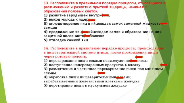 13. Расположите в правильном порядке процессы, относящиеся к размножению и развитию прыткой ящерицы, начиная с образования половых клеток. 1) развитие зародышей внутри яиц 2) выход молодых ящериц 3) оплодотворение яиц в яйцеводах самок семенной жидкостью самцов 4) продвижение яиц по яйцеводам самки и образование на них защитной волокнистой оболочки 5) откладка самкой яиц 14. Расположите в правильном порядке процессы, происходящие в пищеварительной системе птицы, после прохождения пищи через ротовую полость. 1) переваривание пищи соками поджелудочной железы 2) поступление непереваренных продуктов в клоаку 3) размягчение и частичное переваривание пищи под влиянием слюны 4) обработка пищи пищеварительными соками, вырабатываемыми железистыми клетками желудка 5) перетирание пищи в мускульном желудке 