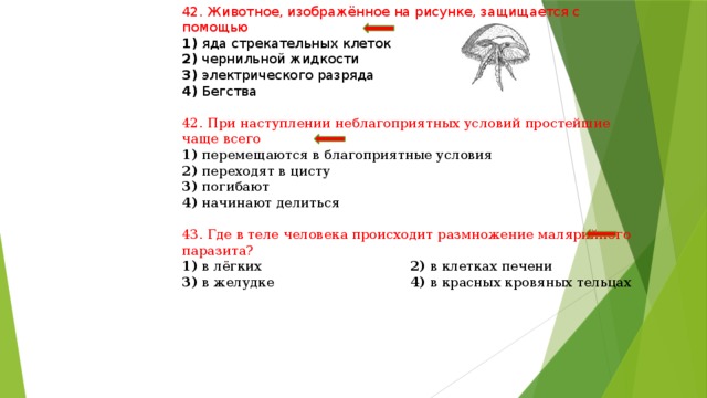 Животное изображенное на рисунке защищается с помощью электрического разряда