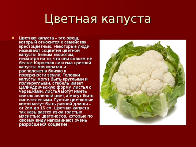 Цветная капуста сканворд. Классификация капустных овощей. Соцветия цветной капусты. Классификация цветной капусты. Строение цветной капусты.