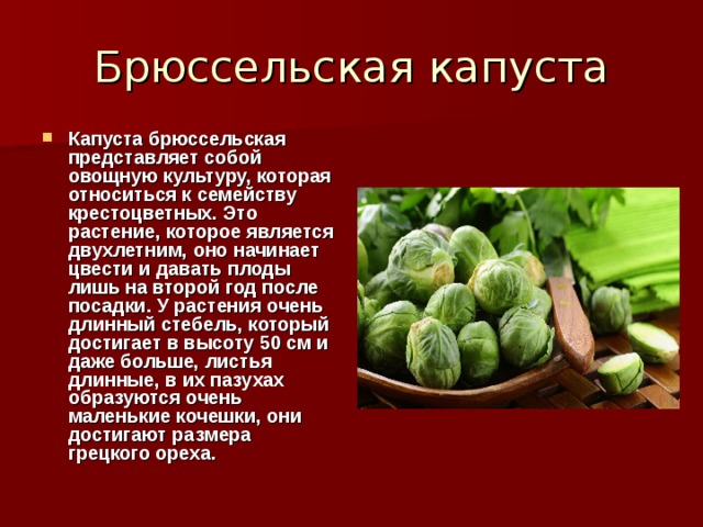 Овощные культуры семейства капустные