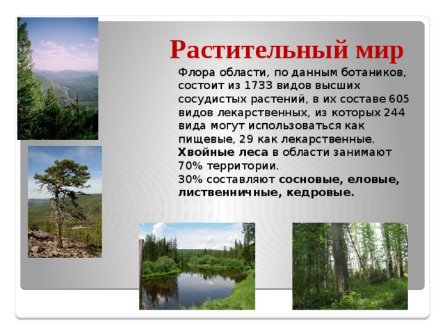 Растительный мир Флора области, по данным ботаников, состоит из 1733 видов высших сосудистых растений, в их составе 605 видов лекарственных, из которых 244 вида могут использоваться как пищевые, 29 как лекарственные. Хвойные леса  в области занимают 70% территории. 30% составляют сосновые, еловые, лиственничные, кедровые.