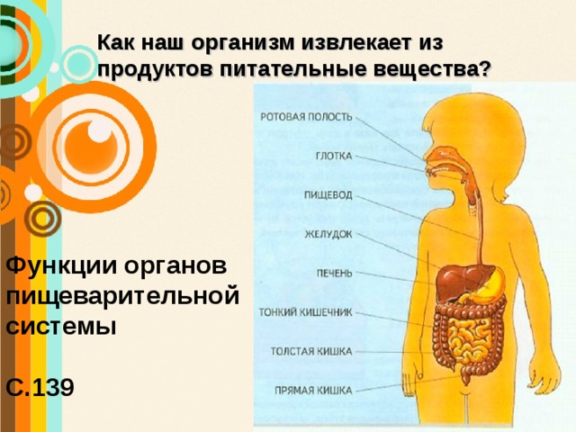 Питательные вещества 3 класс окружающий мир презентация