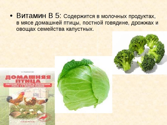 В12 содержится в продуктах