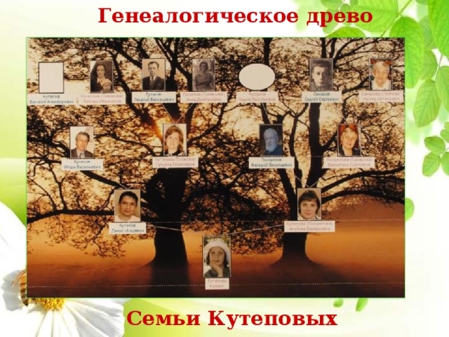 Генеалогическое древо Семьи Кутеповых 