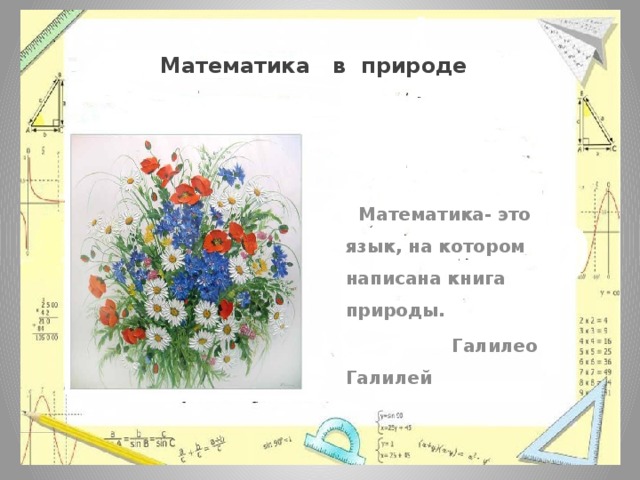 Математика в природе  Математика- это язык, на котором написана книга природы.  Галилео Галилей 