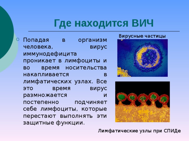 Лабораторная работа по биологии спид и гепатит