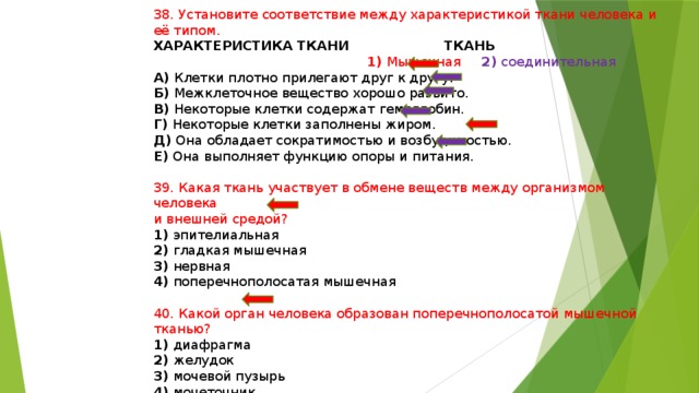 Установи соответствие между данными клетками