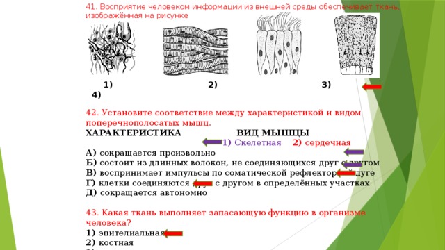 Ткани контрольная работа