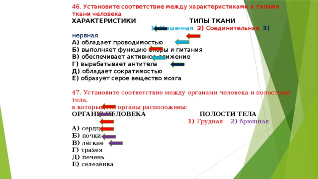 Соответствие между органами и тканью