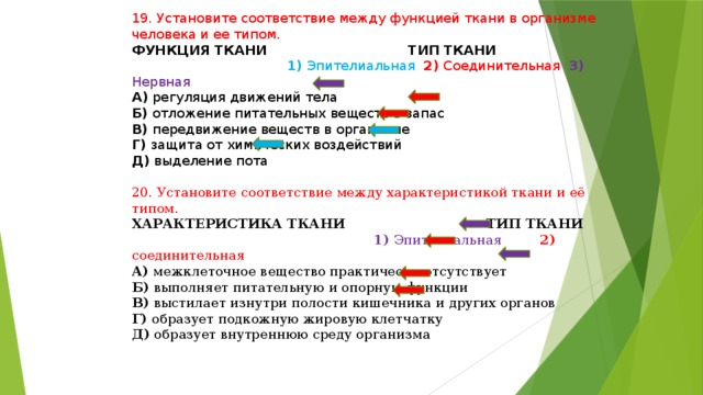 Установите соответствие между характеристиками и организмами