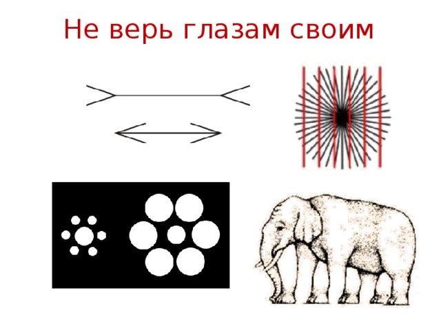 Не верь глазам своим казань. Не верь глазам своим. Не верь глазам своим иллюзия. Волшебное восприятие не верь глазам своим. Верь глазам своим.