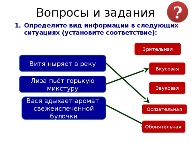 Определите вид информации