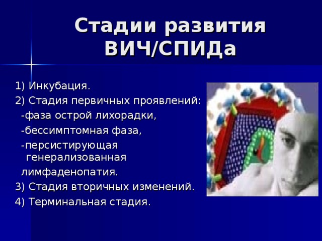 Стадии развития ВИЧ/СПИДа 1) Инкубация. 2) Стадия первичных проявлений:  -фаза острой лихорадки,  -бессимптомная фаза,  -персистирующая генерализованная  лимфаденопатия. 3) Стадия вторичных изменений. 4) Терминальная стадия. 