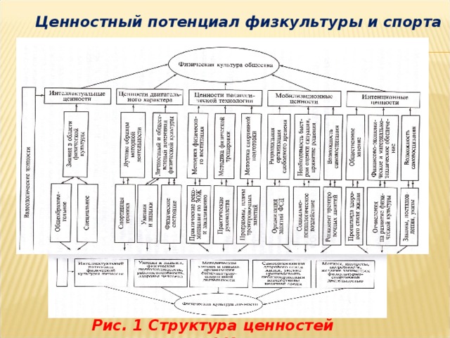 Структура ценностей. Ценности физической культуры и спорта. Ценностный потенциал физической культуры и спорта. Интеллектуальные ценности физической культуры и спорта. Технологические ценности физической культуры и спорта.