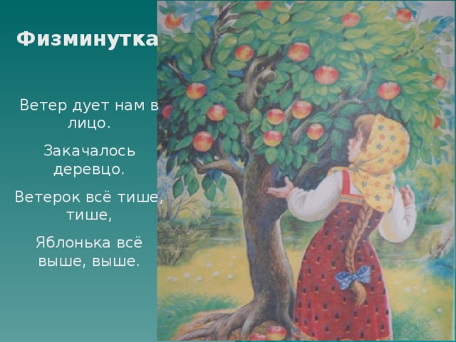 Физминутка Ветер дует нам в лицо. Закачалось деревцо. Ветерок всё тише, тише, Яблонька всё выше, выше. 