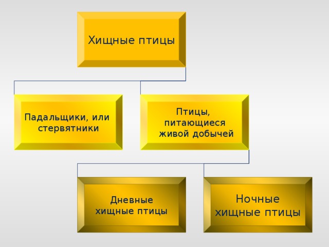 Хищные птицы проект