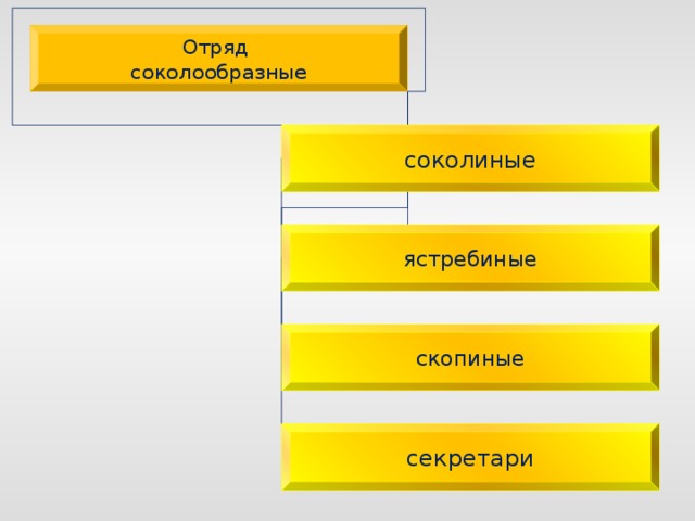 Хищные птицы проект