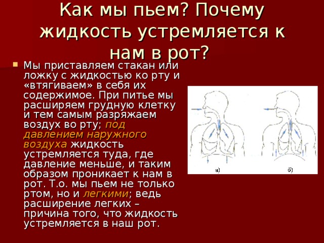 Как мы пьем? Почему жидкость устремляется к нам в рот?