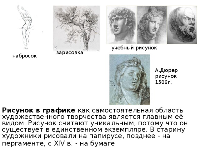 учебный рисунок зарисовка набросок А.Дюрер рисунок 1506г. Рисунок в графике  как самостоятельная область художественного творчества является главным её видом. Рисунок считают уникальным, потому что он существует в единственном экземпляре. В старину художники рисовали на папирусе, позднее - на пергаменте, с XIV в. - на бумаге  