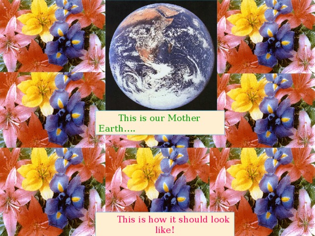 This is our Mother Earth….  This is how it should look like! 
