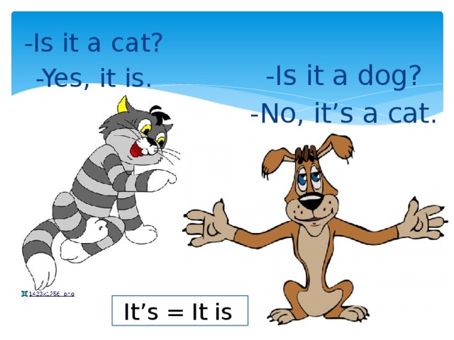 -Is it a cat? -Yes, it is. -Is it a dog? -No, it’s a cat. It’s = It is  