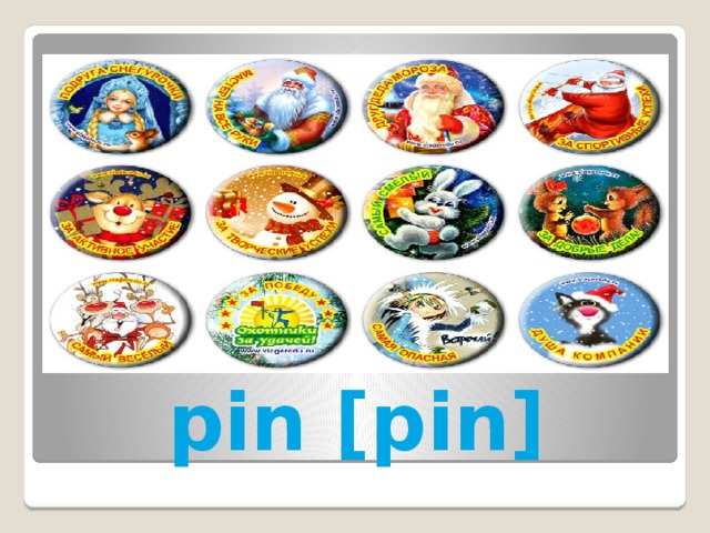 pin [pin] 