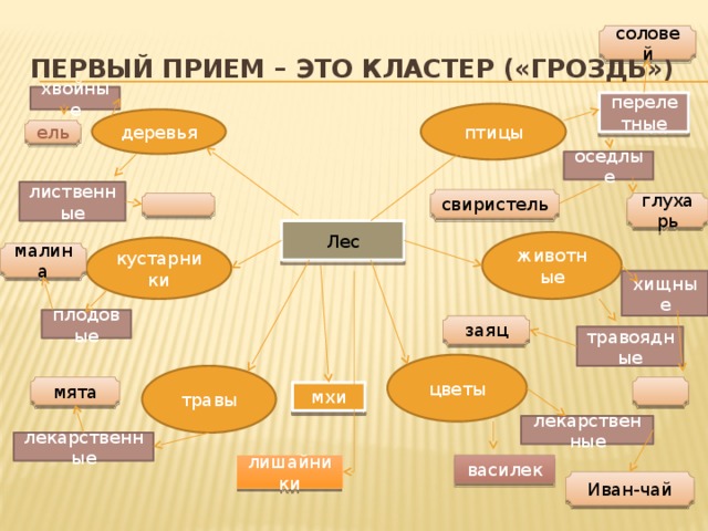 Лесной кластер презентация