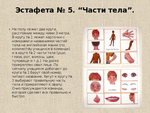 Эстафета № 5.   “Части тела”.   На полу лежат два круга, расстояние между ними 3 метра. В кругу № 1 лежат карточки с номерами и названиями частей тела на английском языке (по количеству учащихся в команде) и в круге № 2 части тела (уши, глаза, рот, волосы, шея, туловище и т.д.). На доске прикреплен овал лица. По сигналу учащиеся добегают до круга № 1 берут свой номер, читают название, бегут к кругу № 2 выбирают правильную часть тела и прикрепляют к овалу. Очко присуждается команде, которая сделает все правильно и быстро 