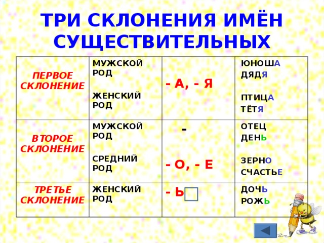 ТРИ СКЛОНЕНИЯ ИМЁН СУЩЕСТВИТЕЛЬНЫХ  ПЕРВОЕ СКЛОНЕНИЕ МУЖСКОЙ РОД  ЖЕНСКИЙ РОД  ВТОРОЕ СКЛОНЕНИЕ МУЖСКОЙ РОД  СРЕДНИЙ РОД ТРЕТЬЕ СКЛОНЕНИЕ ЖЕНСКИЙ РОД  -   ЮНОШ А  ДЯД Я   ПТИЦ А  ТЁТ Я - А, - Я - О, - Е  ОТЕЦ  ДЕН Ь - Ь   ДОЧ Ь  РОЖ Ь  ЗЕРН О  СЧАСТЬ Е 