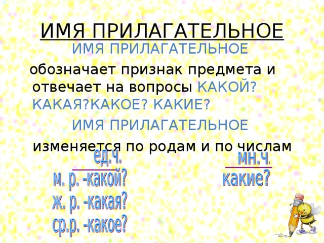 ИМЯ ПРИЛАГАТЕЛЬНОЕ ИМЯ ПРИЛАГАТЕЛЬНОЕ  обозначает признак предмета и отвечает на вопросы КАКОЙ? КАКАЯ?КАКОЕ? КАКИЕ? ИМЯ ПРИЛАГАТЕЛЬНОЕ изменяется по родам и по числам 