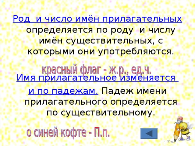 Род и число имён прилагательных определяется по роду и числу имён существительных, с которыми они употребляются. Имя прилагательное изменяется и по падежам. Падеж имени прилагательного определяется по существительному. 