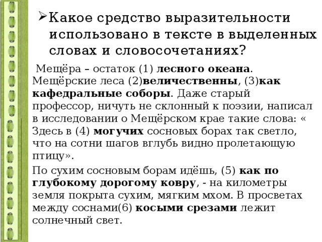 Мещера остаток лесного океана тире ставится. Мещёра остаток лесного океана даже старый профессор. Текст Мещера остаток лесного океана. Мещера остаток лесного океана. Леса диктант Мещерские леса величественны.