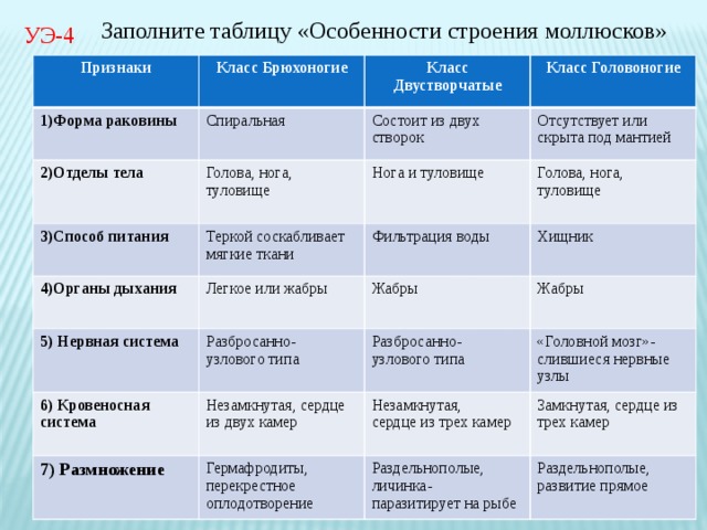 Таблица ракообразных 7 класс