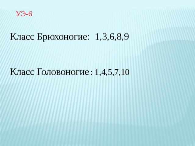 Задание 2 . Выберите из предложенного списка признаки видов животных, относящихся к типу Плоские, Круглые или Кольчатые черви, в зависимости от вашего варианта.  В ответе запишите только буквы. ( 3 минуты) А) тело плоское Б) тело нечленистое, округлое в поперечном сечении, удлиненное В) тело удлиненное разделено на сегменты, округлое в поперечном сечении Г) имеют кровеносную систему Д) не имеют кровеносной системы Е) пищеварительная система заканчивается слепо Ж) развитие происходит со сменой хозяев З) играют важную роль в почвообразовании И) вызывают заболевания – гельминтозы К) имеют сквозную пищеварительную систему