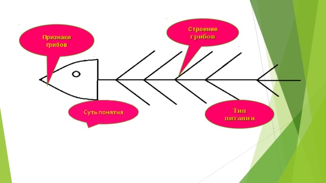 Строение грибов Признаки грибов Тип питания 