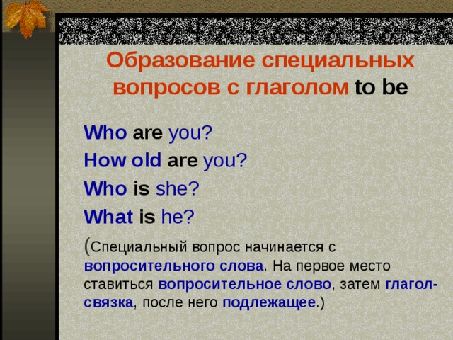 Образование специальных вопросов с глаголом  to be  Who  are  you?  How old  are you?  Who  is she?  What  is he?  ( Специальный вопрос начинается с вопросительного слова . На первое место ставиться вопросительное слово , затем глагол-связка , после него подлежащее .) 