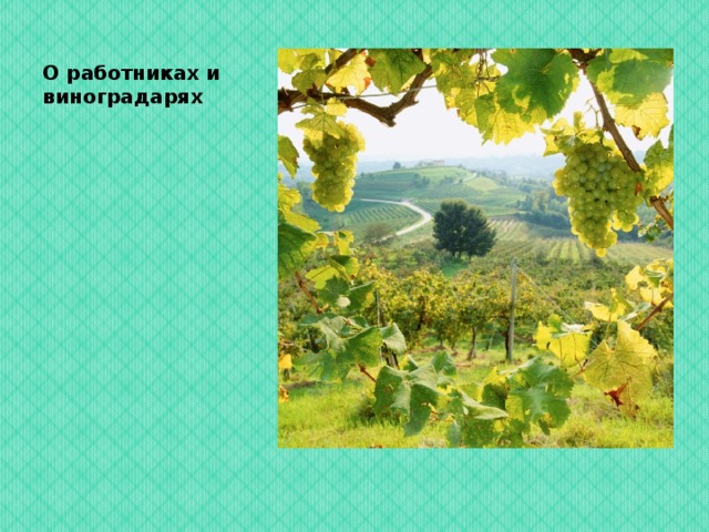 О работниках и виноградарях 