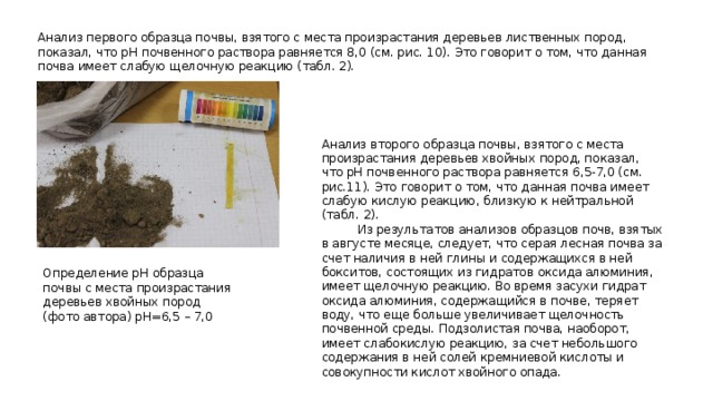 Анализ первого образца почвы, взятого с места произрастания деревьев лиственных пород, показал, что pH почвенного раствора равняется 8,0 (см. рис. 10). Это говорит о том, что данная почва имеет слабую щелочную реакцию (табл. 2). Анализ второго образца почвы, взятого с места произрастания деревьев хвойных пород, показал, что pH почвенного раствора равняется 6,5-7,0 (см. рис.11). Это говорит о том, что данная почва имеет слабую кислую реакцию, близкую к нейтральной (табл. 2).  Из результатов анализов образцов почв, взятых в августе месяце, следует, что серая лесная почва за счет наличия в ней глины и содержащихся в ней бокситов, состоящих из гидратов оксида алюминия, имеет щелочную реакцию. Во время засухи гидрат оксида алюминия, содержащийся в почве, теряет воду, что еще больше увеличивает щелочность почвенной среды. Подзолистая почва, наоборот, имеет слабокислую реакцию, за счет небольшого содержания в ней солей кремниевой кислоты и совокупности кислот хвойного опада. Определение pH образца почвы с места произрастания деревьев хвойных пород (фото автора) pH=6,5 – 7,0 