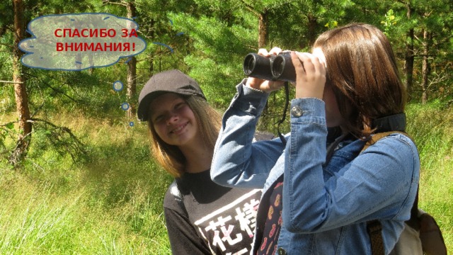 СПАСИБО ЗА ВНИМАНИЯ! 