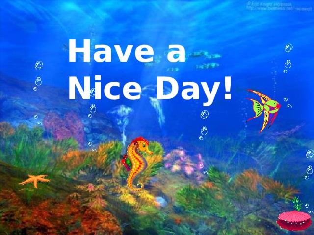 Have a Nice Day! 